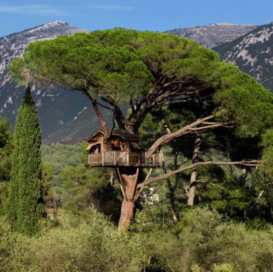 Arbre3